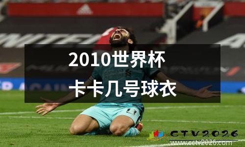 2010世界杯卡卡几号球衣