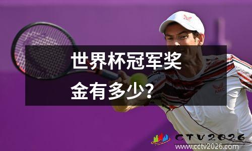 世界杯冠军奖金有多少？