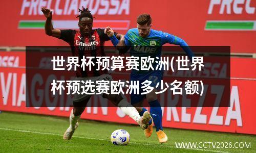 世界杯预算赛欧洲(世界杯预选赛欧洲多少名额)