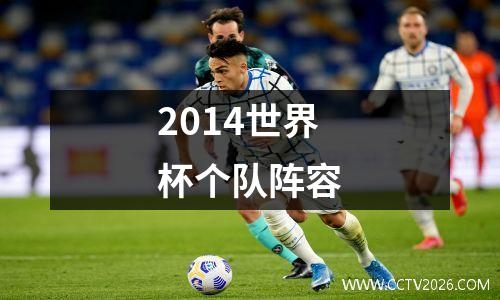 2014世界杯个队阵容