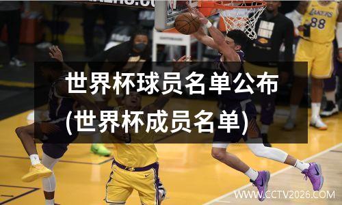 世界杯球员名单公布(世界杯成员名单)