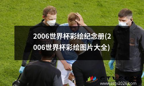2006世界杯彩绘纪念册(2006世界杯彩绘图片大全)