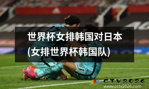 世界杯女排韩国对日本(女排世界杯韩国队)