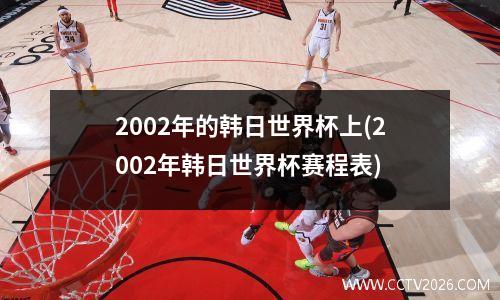 2002年的韩日世界杯上(2002年韩日世界杯赛程表)