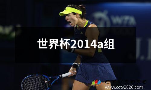 世界杯2014a组