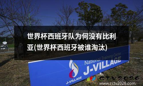 世界杯西班牙队为何没有比利亚(世界杯西班牙被谁淘汰)