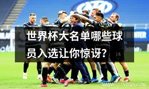 世界杯大名单哪些球员入选让你惊讶？