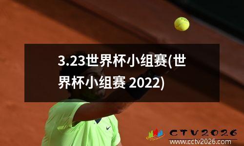 3.23世界杯小组赛(世界杯小组赛 2022)
