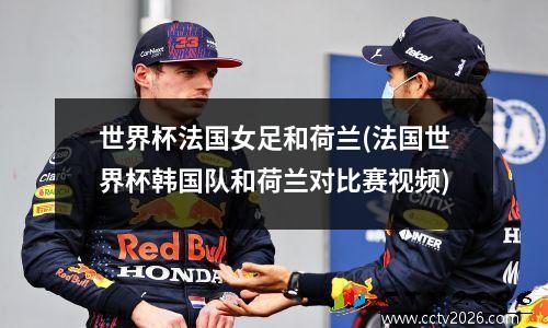 世界杯法国女足和荷兰(法国世界杯韩国队和荷兰对比赛视频)