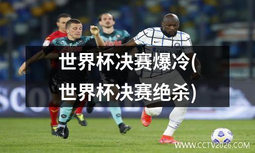 世界杯决赛爆冷(世界杯决赛绝杀)