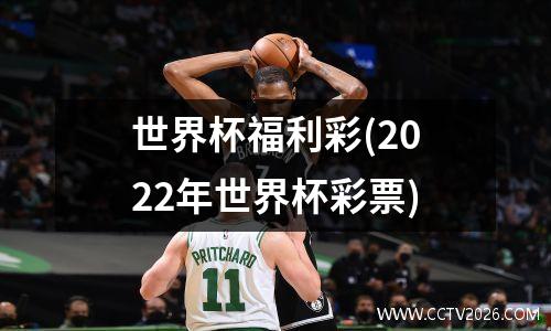 世界杯福利彩(2022年世界杯彩票)