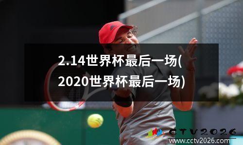 2.14世界杯最后一场(2020世界杯最后一场)