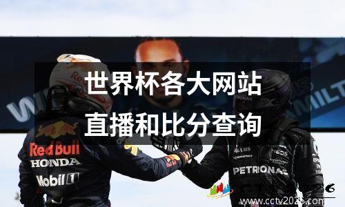 世界杯各大网站直播和比分查询