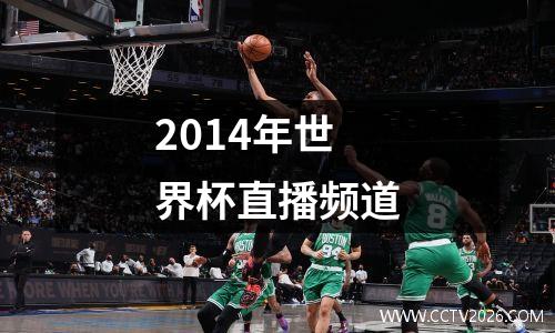 2014年世界杯直播频道