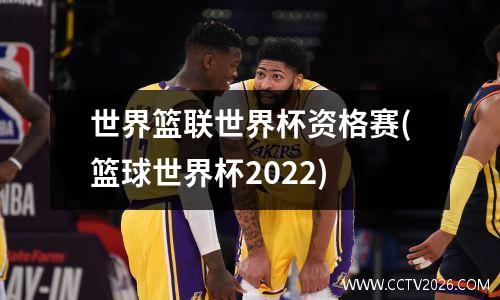 世界篮联世界杯资格赛(篮球世界杯2022)