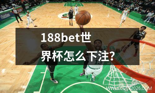 188bet世界杯怎么下注？