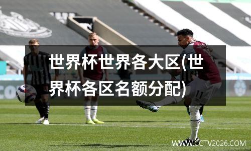 世界杯世界各大区(世界杯各区名额分配)
