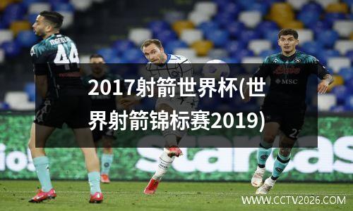 2017射箭世界杯(世界射箭锦标赛2019)