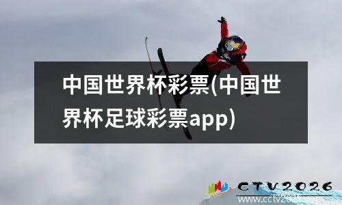 中国世界杯彩票(中国世界杯足球彩票app)