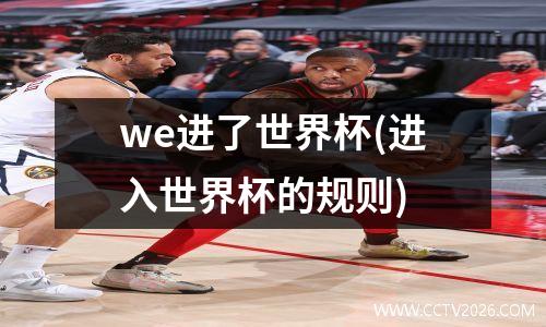 we进了世界杯(进入世界杯的规则)