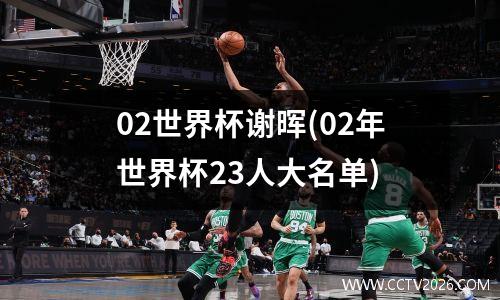 02世界杯谢晖(02年世界杯23人大名单)