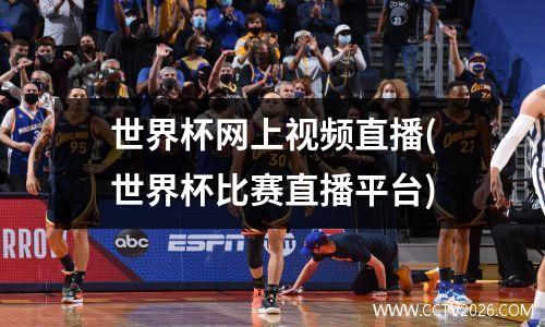 世界杯网上视频直播(世界杯比赛直播平台)
