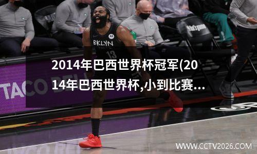 2014年巴西世界杯冠军(2014年巴西世界杯,小到比赛用球,大到场馆能源设备)