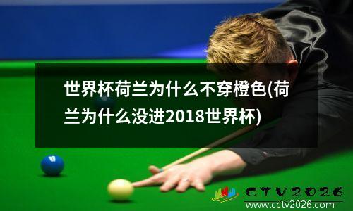 世界杯荷兰为什么不穿橙色(荷兰为什么没进2018世界杯)