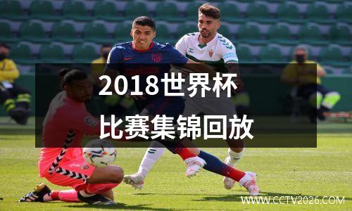 2018世界杯比赛集锦回放