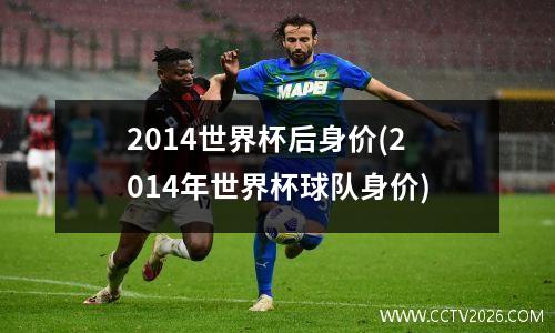 2014世界杯后身价(2014年世界杯球队身价)