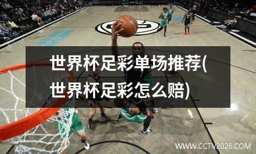 世界杯足彩单场推荐(世界杯足彩怎么赔)