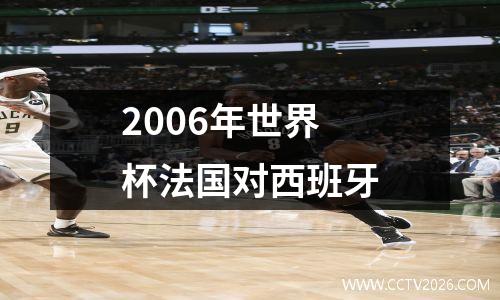 2006年世界杯法国对西班牙