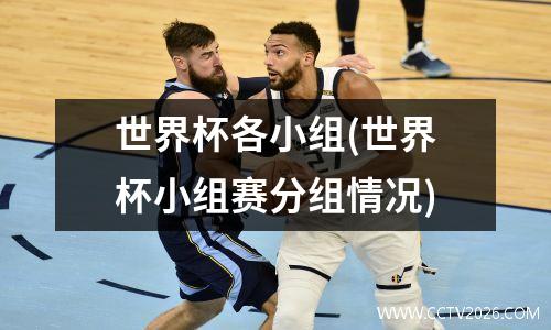 世界杯各小组(世界杯小组赛分组情况)