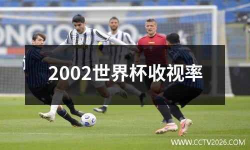 2002世界杯收视率