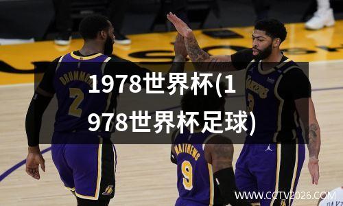 1978世界杯(1978世界杯足球)
