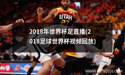2018年世界杯足直播(2018足球世界杯视频回放)