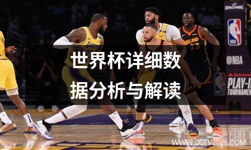 世界杯详细数据分析与解读