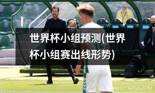 世界杯小组预测(世界杯小组赛出线形势)