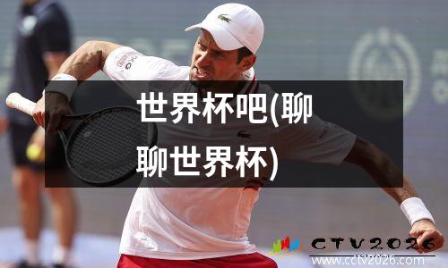 世界杯吧(聊聊世界杯)
