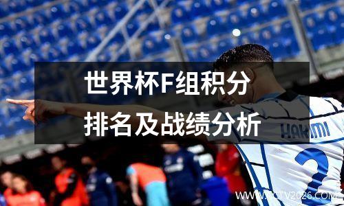 世界杯F组积分排名及战绩分析