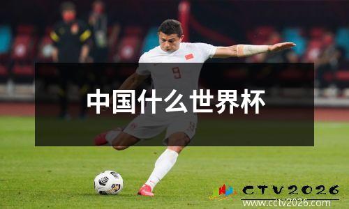 中国什么世界杯