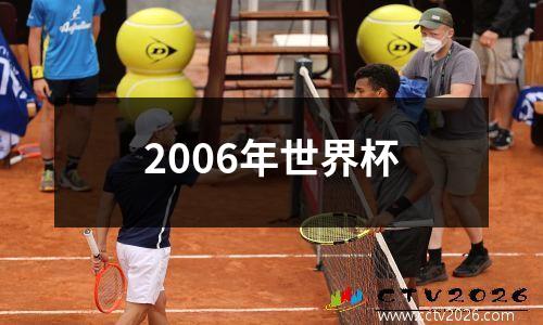 2006年世界杯
