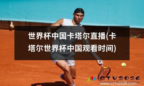 世界杯中国卡塔尔直播(卡塔尔世界杯中国观看时间)