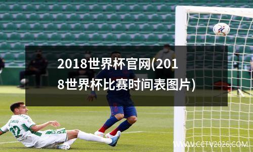 2018世界杯官网(2018世界杯比赛时间表图片)