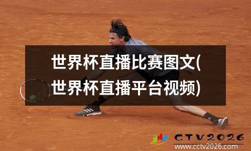 世界杯直播比赛图文(世界杯直播平台视频)