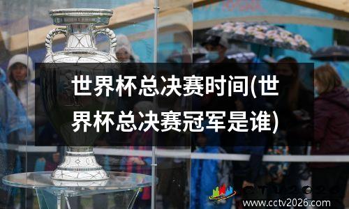 世界杯总决赛时间(世界杯总决赛冠军是谁)
