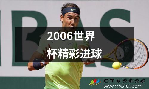 2006世界杯精彩进球