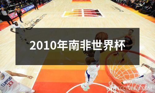2010年南非世界杯