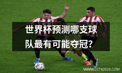 世界杯预测哪支球队最有可能夺冠？