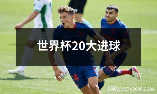 世界杯20大进球